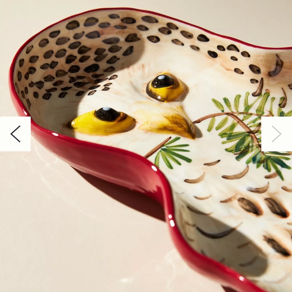 Anthropologie  Nathalie Lete Snowy  Owl Platter in Box